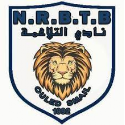 NRB电报队