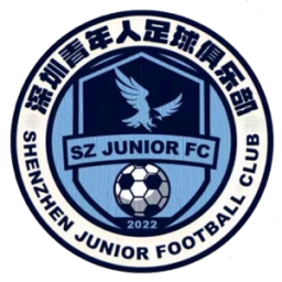 深圳青年人队