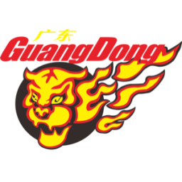广东队